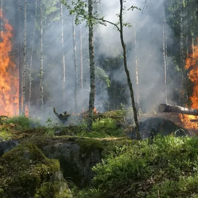 Ochrana lesov pred požiarmi v roku 2023